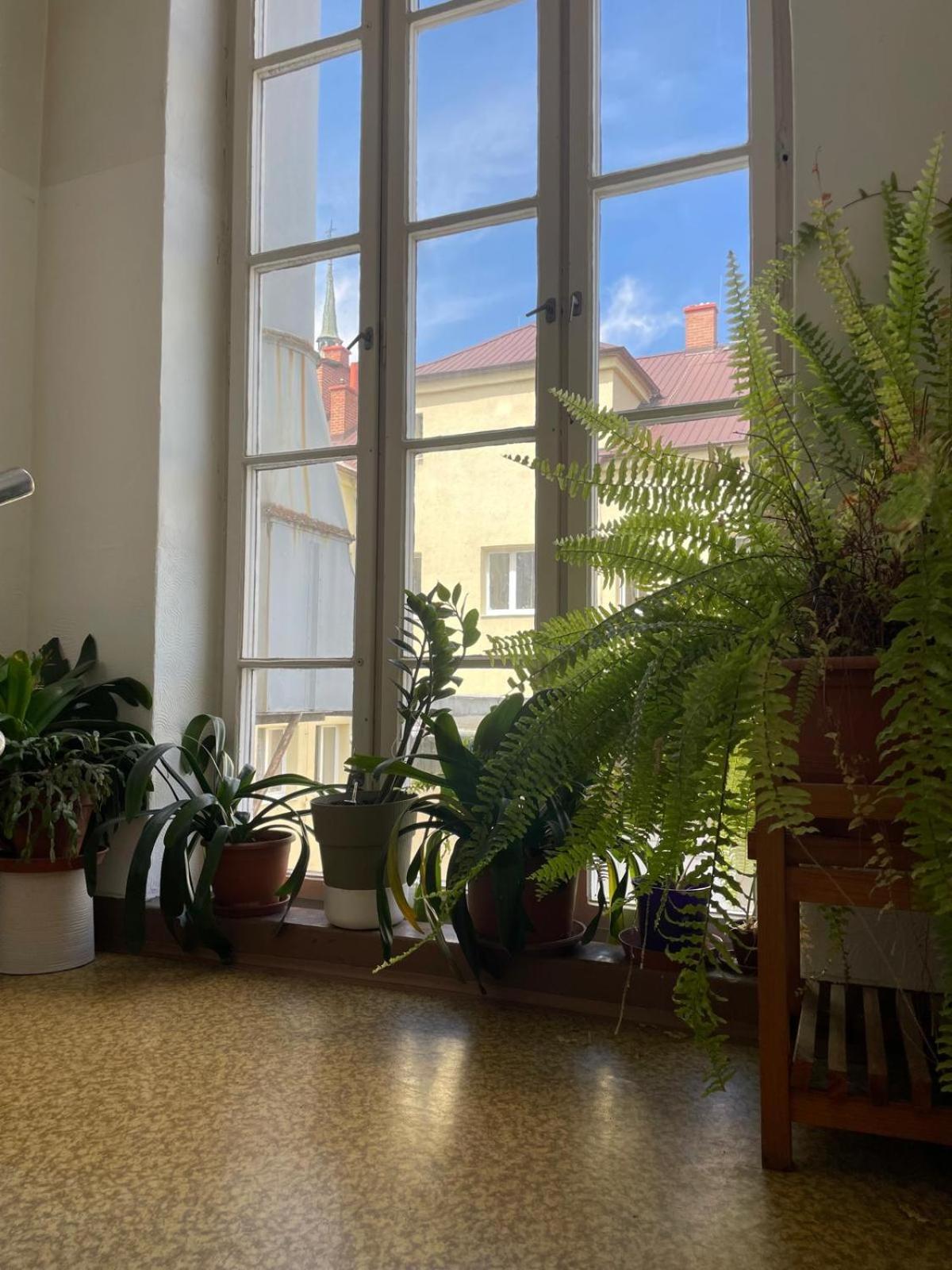 Hostel Moravia Ostrava Exterior photo